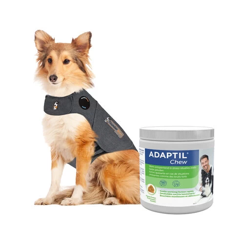 Anti Stress Paket Thundershirt Und Adaptil – Bild 2