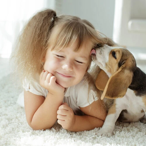 Beaphar Fiprotec Spray - Image 5