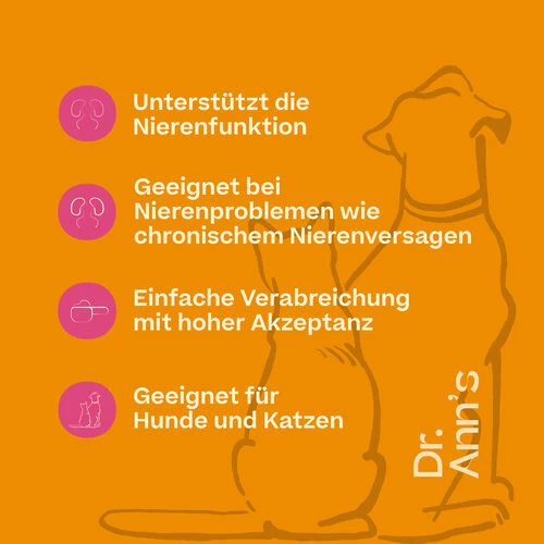 Dr. Ann's Kidney Support - Image 3