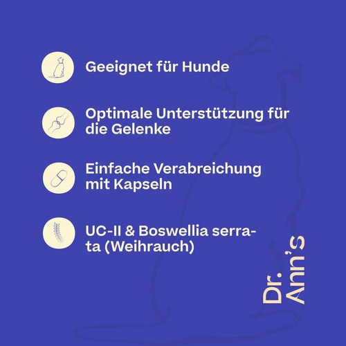 Dr. Ann's Mobility Support Advanced - Image 5