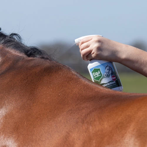 Equi Protecta Pferde-Lotion - Image 3