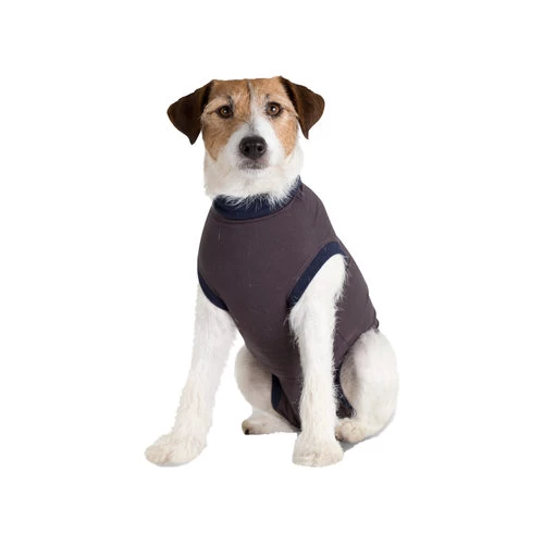 Jacketz Medical Body Suit FĂŒr Hunde