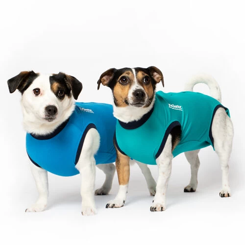 Jacketz Medical Body Suit FĂŒr Hunde - Image 3