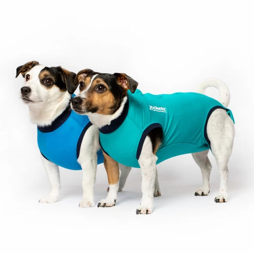 Jacketz Medical Body Suit FĂŒr Hunde - Image 4