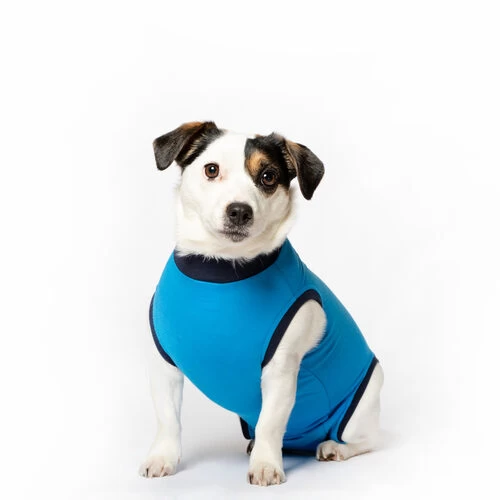 Jacketz Medical Body Suit FĂŒr Hunde - Image 2