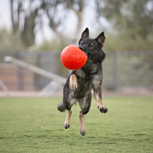 Jolly Soccer Ball – Bild 3