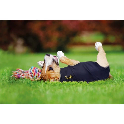 Medical Pet Shirt Hund - Image 6