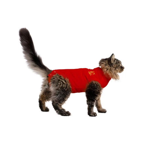 Medical Pet Shirt Katze - Image 2