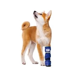 Medical Pet Shirt Boot