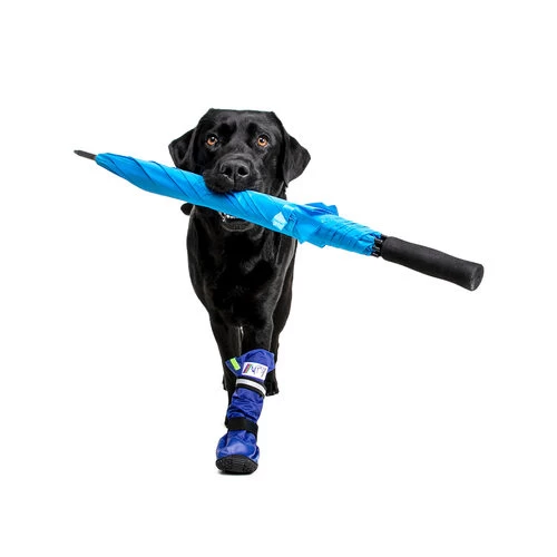 Medical Pet Shirt Boot - Image 3