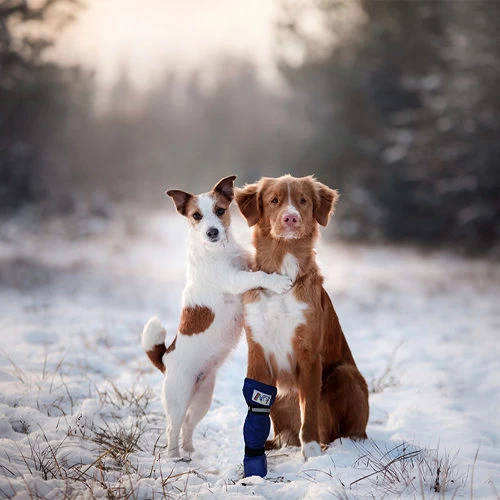 Medical Pet Shirt Boot - Image 8