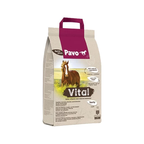 Pavo Vital – Bild 2