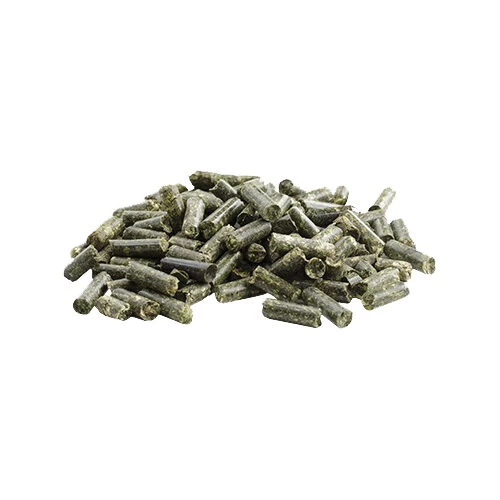 Pavo Vital – Bild 3