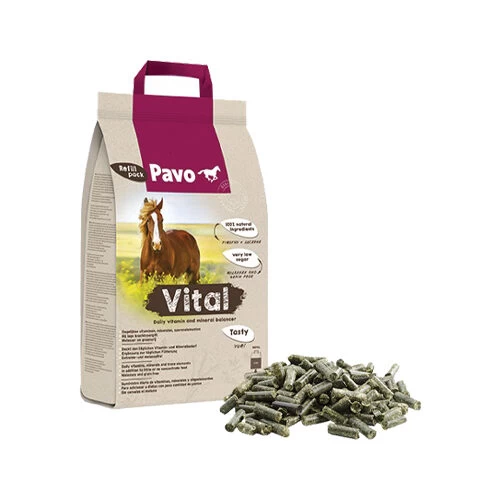 Pavo Vital – Bild 4