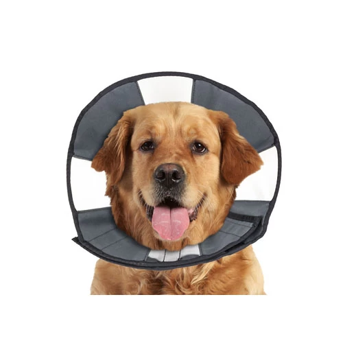 ZenPet Zen Collar - Image 4