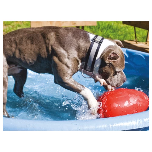 Jolly Egg – Bild 6