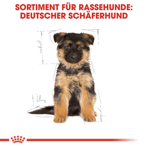 Royal Canin German Shepherd Puppy - Hundefutter - Image 4