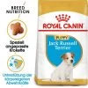 Royal Canin Jack Russell Terrier Puppy - Hundefutter