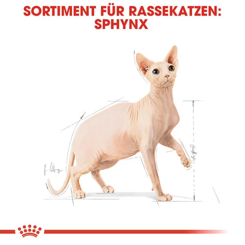 Royal Canin Sphynx Adult - Katzenfutter - Image 6