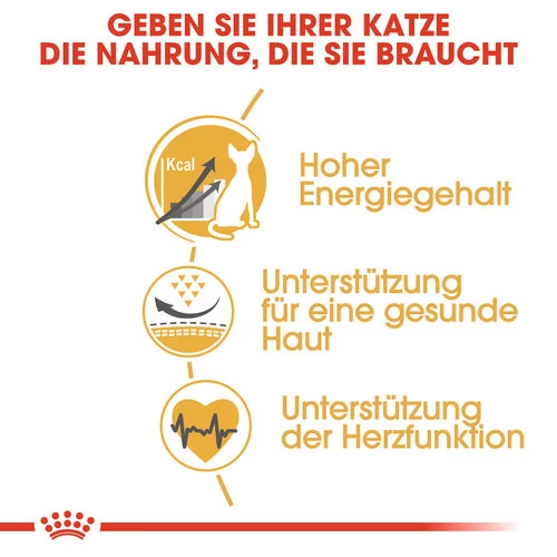 Royal Canin Sphynx Adult - Katzenfutter - Image 4