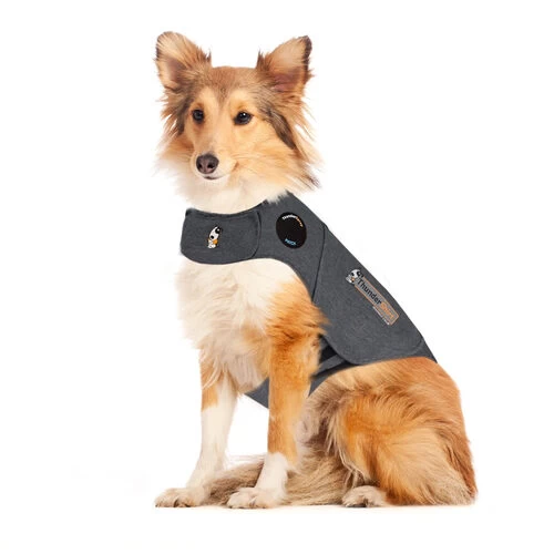 Thundershirt FĂŒr Hunde