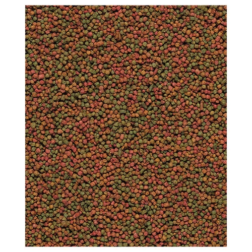 Versele-Laga Nutribird C19 Zucht - Image 2