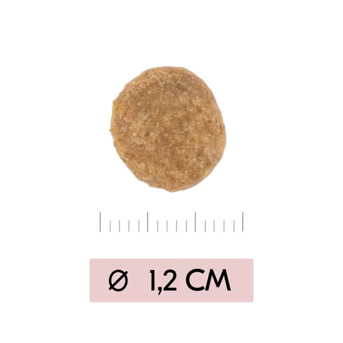 Vetality Skin Support - Hundefutter - Image 3